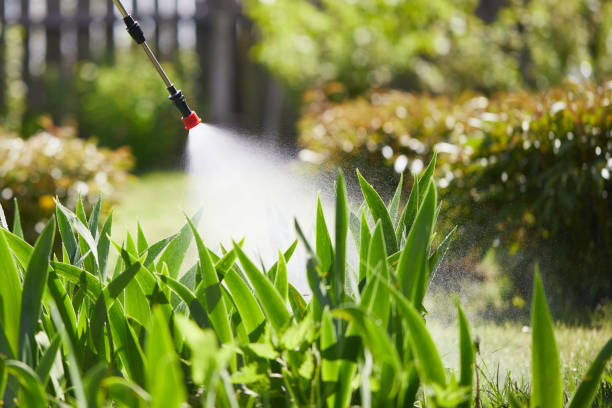 Reliable Pest Control contractor in USA by Nex Pest Control