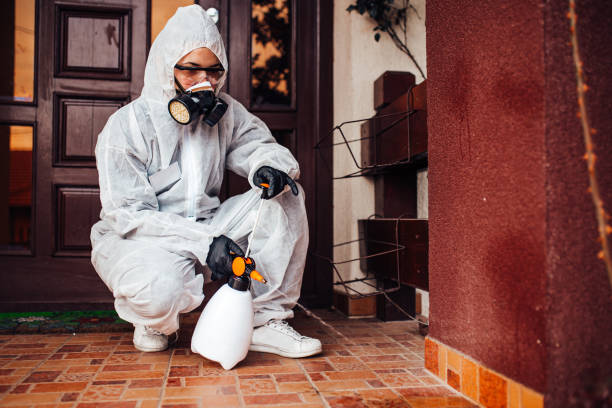 24/7 Emergency Pest Control experts in USA