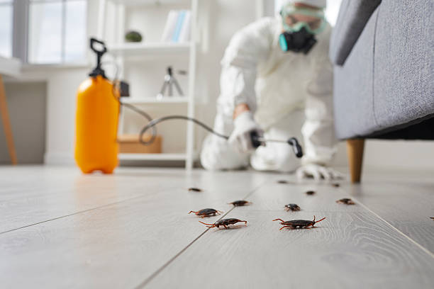 Professional Pest Control technician working in USA