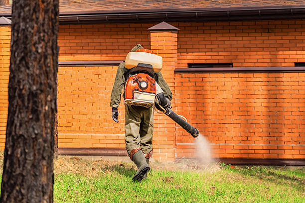 Licensed Pest Control service in USA - Nex Pest Control